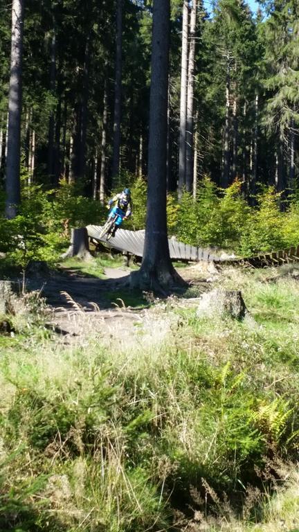 Harz-Zauber Διαμέρισμα Braunlage Εξωτερικό φωτογραφία