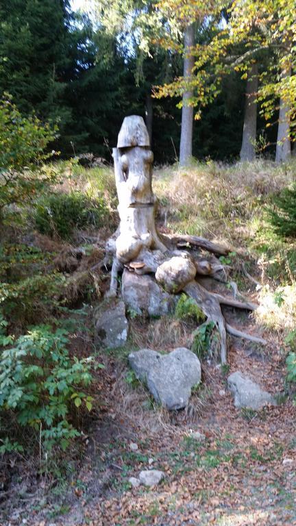 Harz-Zauber Διαμέρισμα Braunlage Εξωτερικό φωτογραφία