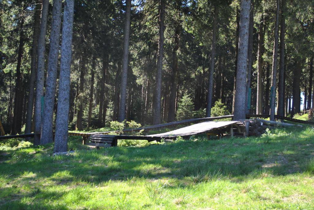 Harz-Zauber Διαμέρισμα Braunlage Εξωτερικό φωτογραφία