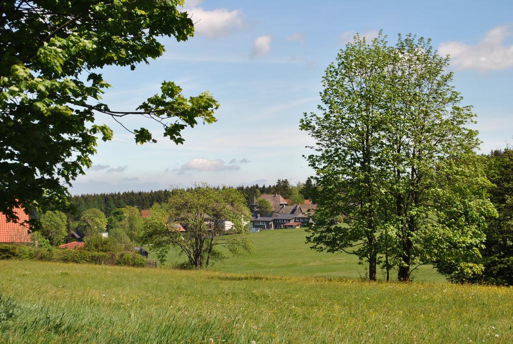 Harz-Zauber Διαμέρισμα Braunlage Εξωτερικό φωτογραφία